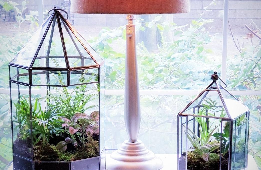 HOW TO MAKE A TERRARIUM FOR YOUR HOME