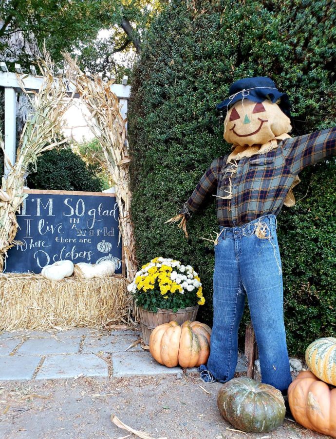 IF I ONLY HAD A BRAIN – A SCARECROW STORY