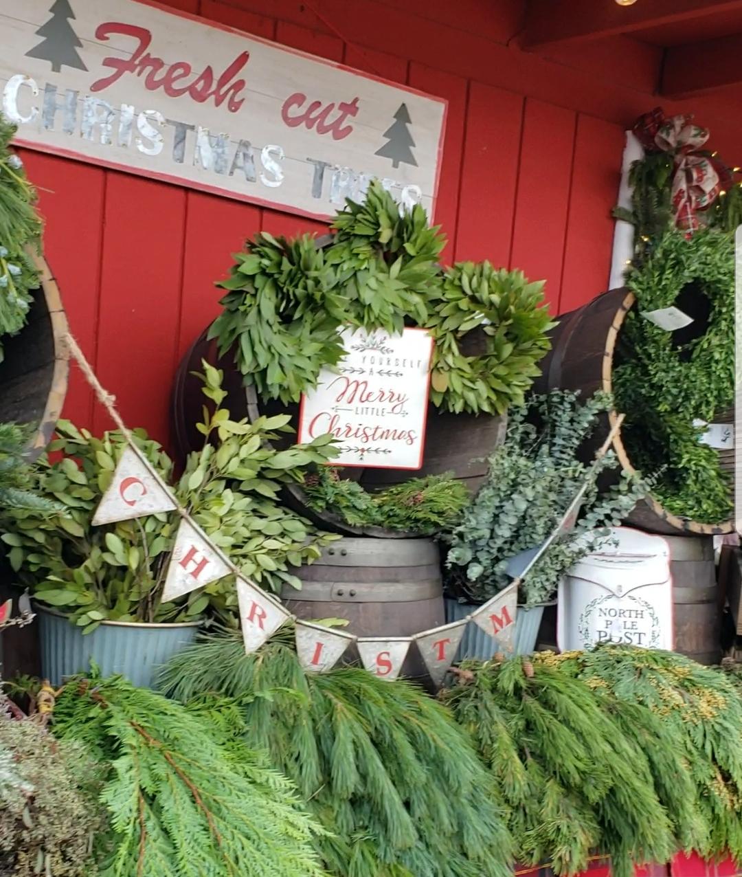 Stocking Stuffer Ideas for Everyone - Home at Cedar Springs Farm