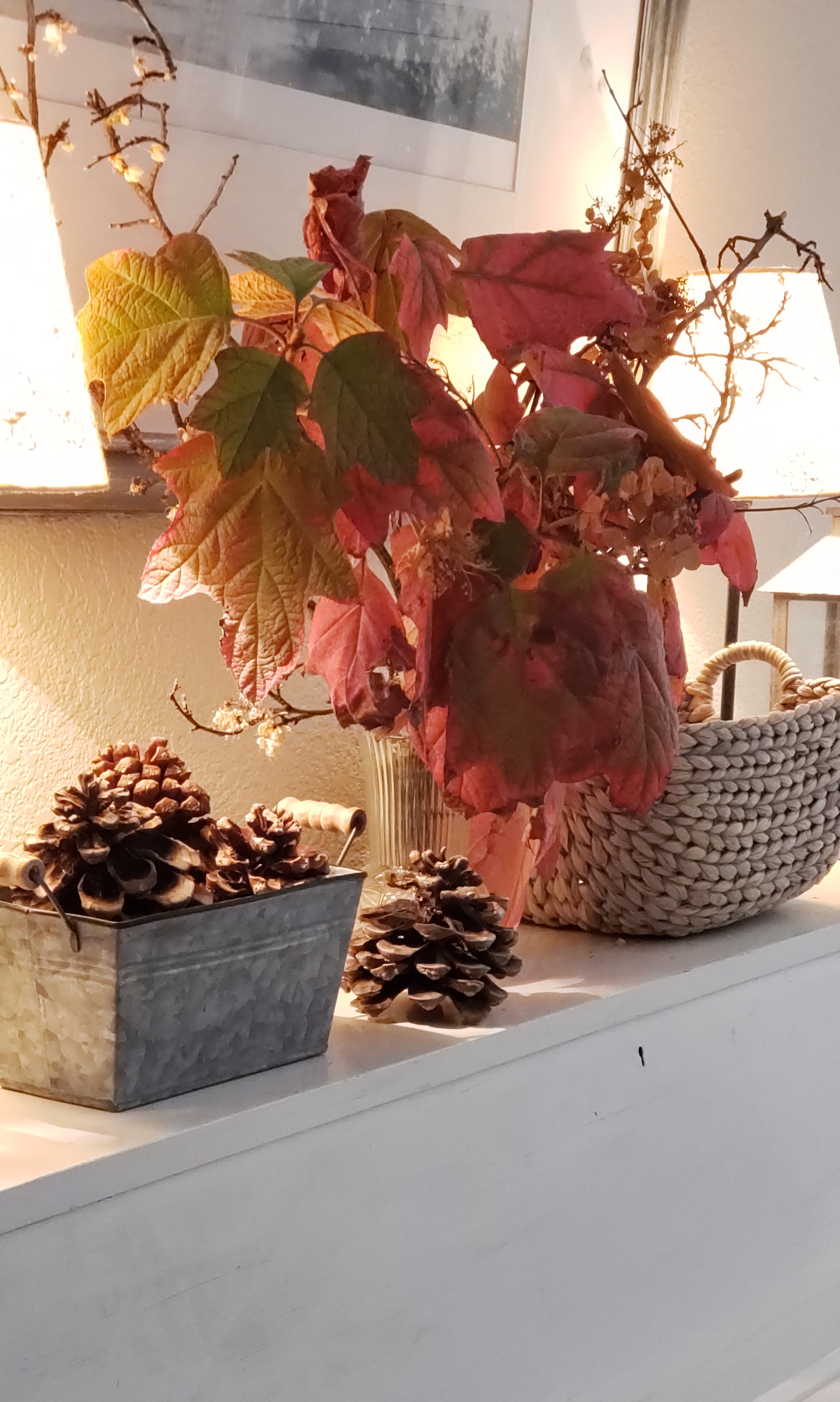 fall oakleaf hydrangea in vase